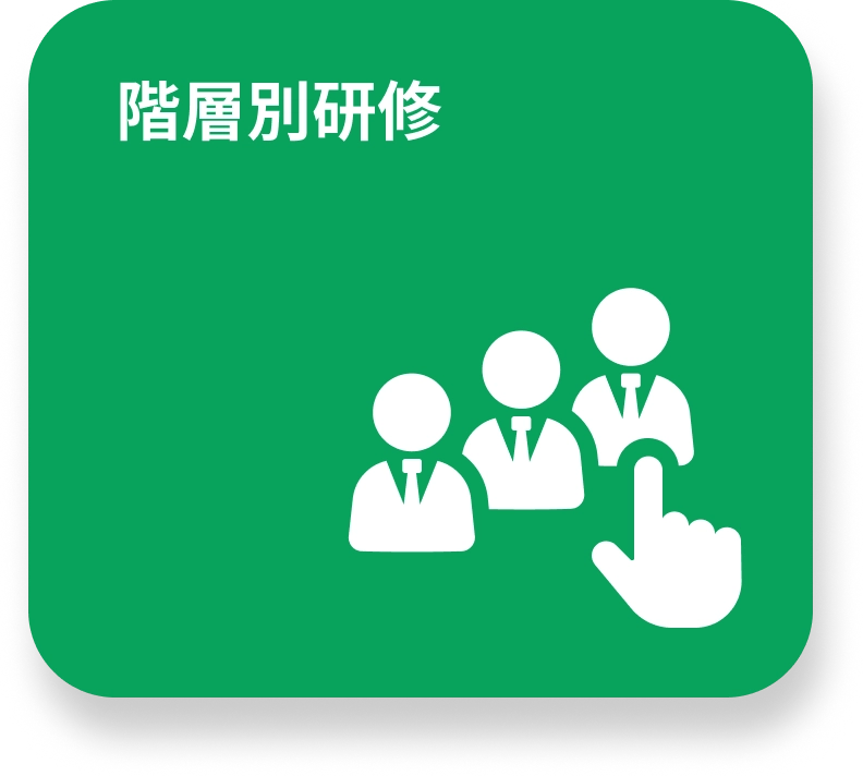 階層別研修のイメージ