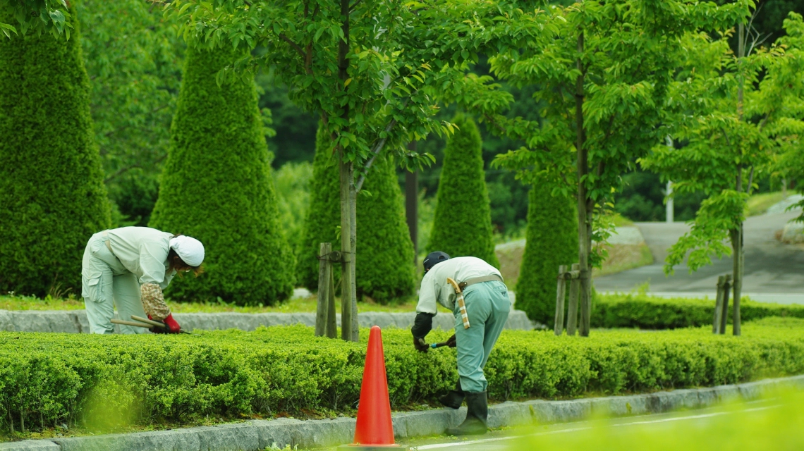公園管理のイメージ