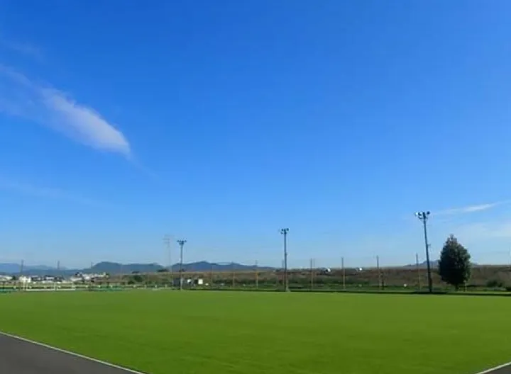 スポーツターフのイメージ2